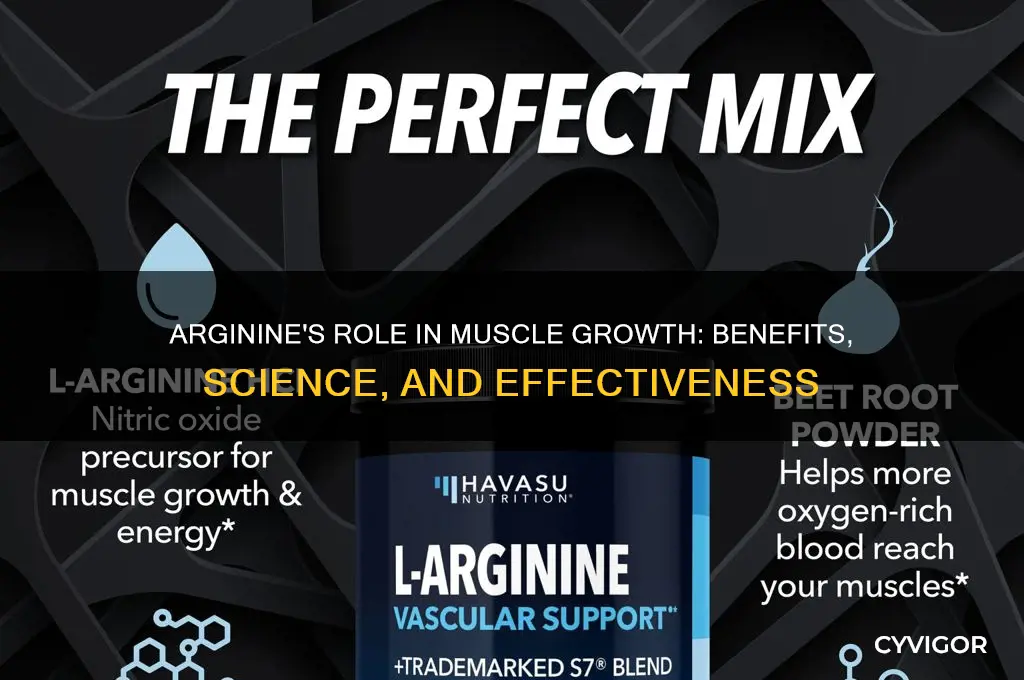is arginine good for muscle growth
