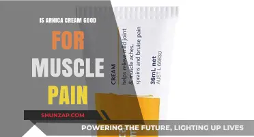 Arnica Cream for Muscle Pain: Effective Relief or Just a Myth?