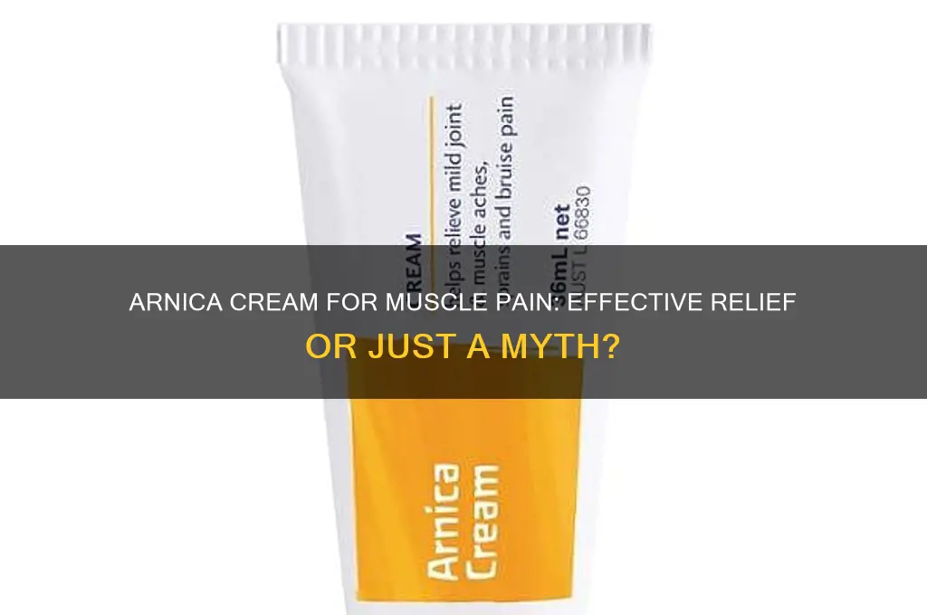 is arnica cream good for muscle pain