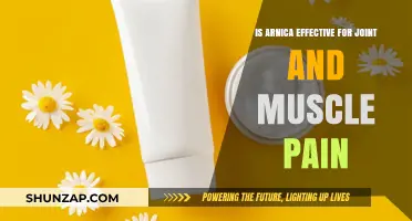 Arnica for Joint and Muscle Pain: Effective Natural Remedy or Myth?