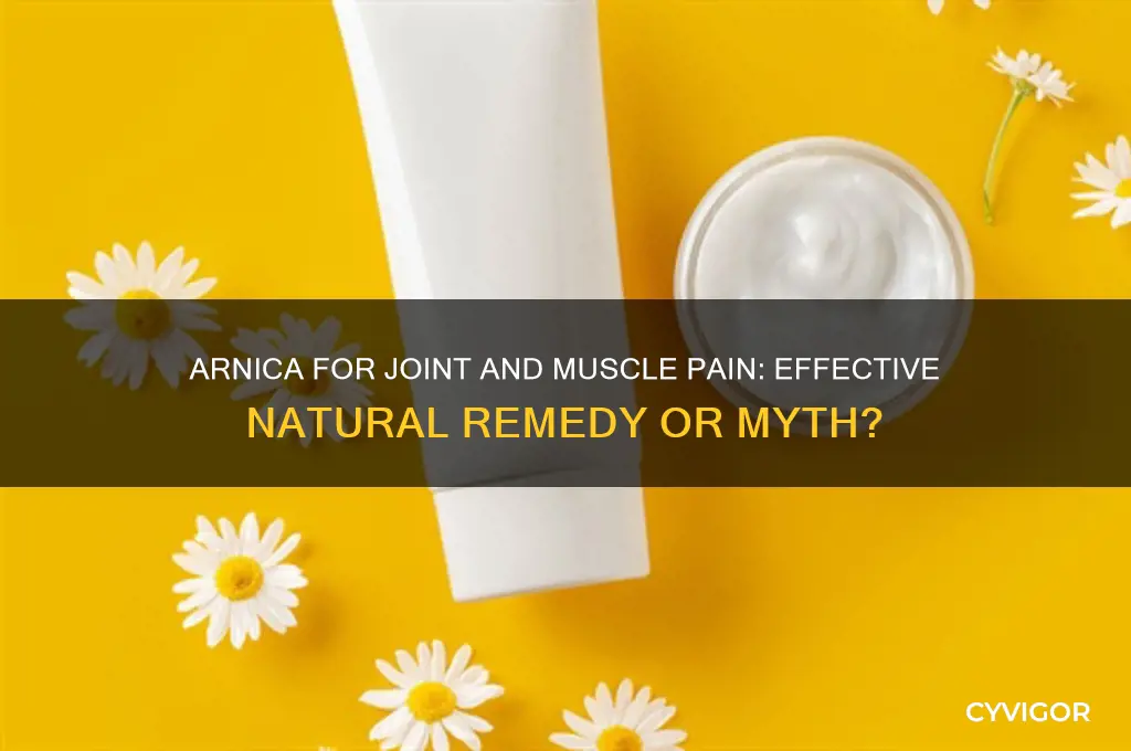 is arnica effective for joint and muscle pain