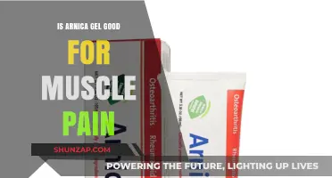 Arnica Gel for Muscle Pain: Benefits, Uses, and Effectiveness Explained