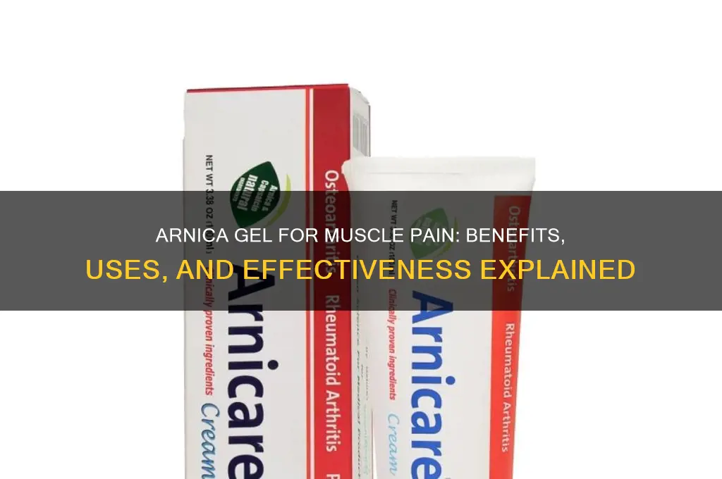 is arnica gel good for muscle pain