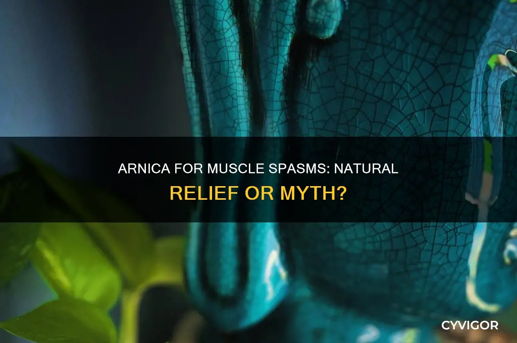 is arnica good for muscle spasms
