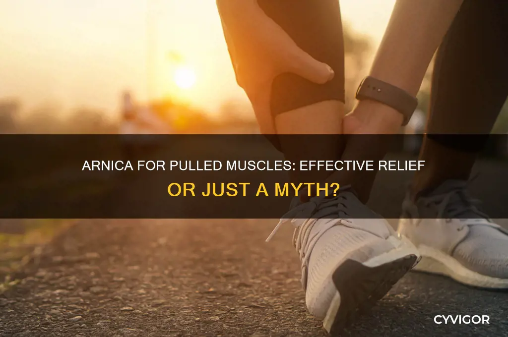 is arnica good for pulled muscles