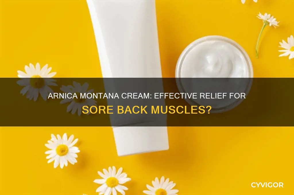 is arnica montana cream good for soar back muscles