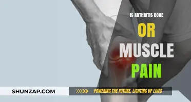 Arthritis Unveiled: Understanding Bone vs. Muscle Pain in Joint Disorders