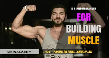 Unlocking Strength: The Truth About Ashwagandha and Muscle Building