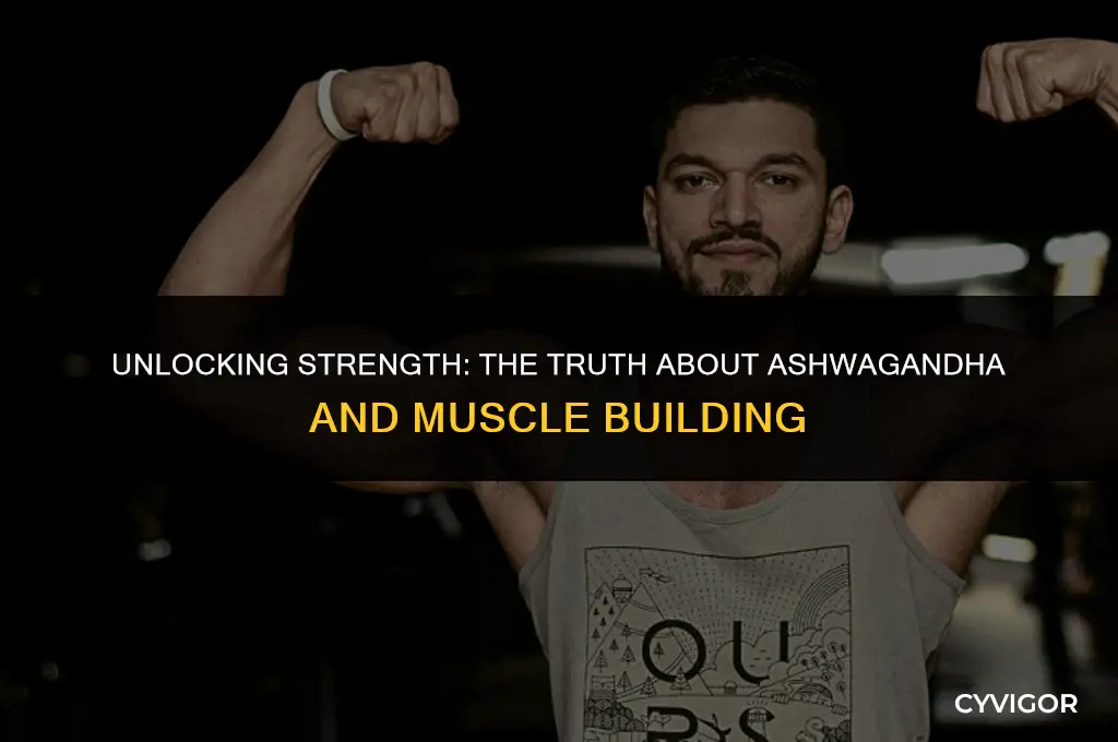 is ashwagandha good for building muscle