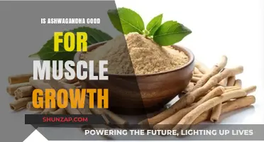 Ashwagandha for Muscle Growth: Benefits, Science, and How to Use