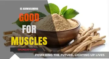 Ashwagandha Benefits: Boosting Muscle Growth, Strength, and Recovery Naturally