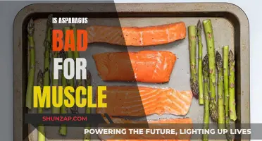 Asparagus and Muscle Health: Friend or Foe?