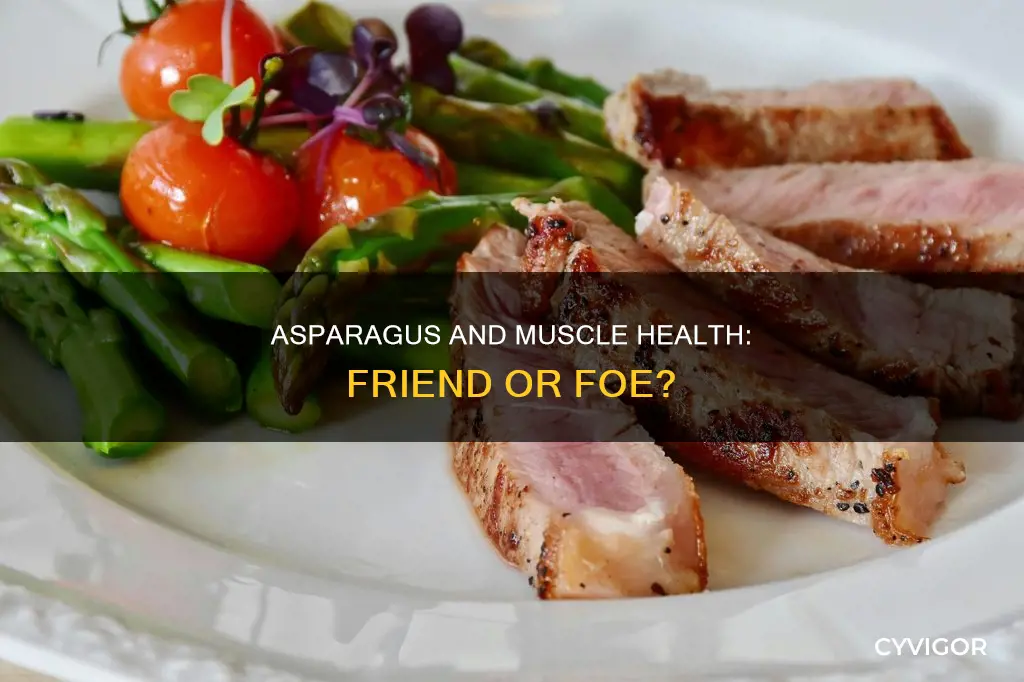 is asparagus bad for muscle