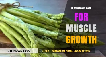 Asparagus and Muscle Growth: Unlocking the Nutritional Benefits for Strength