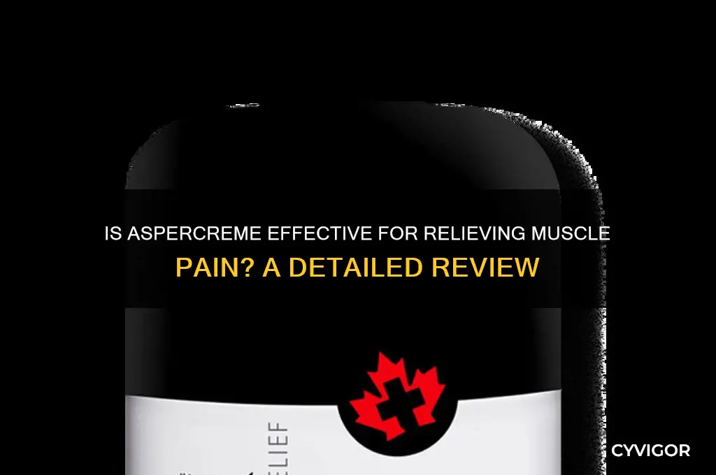 is aspercreme good for muscle pain