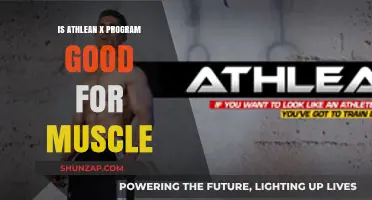 Athlean X Program Review: Effective for Muscle Growth and Strength?