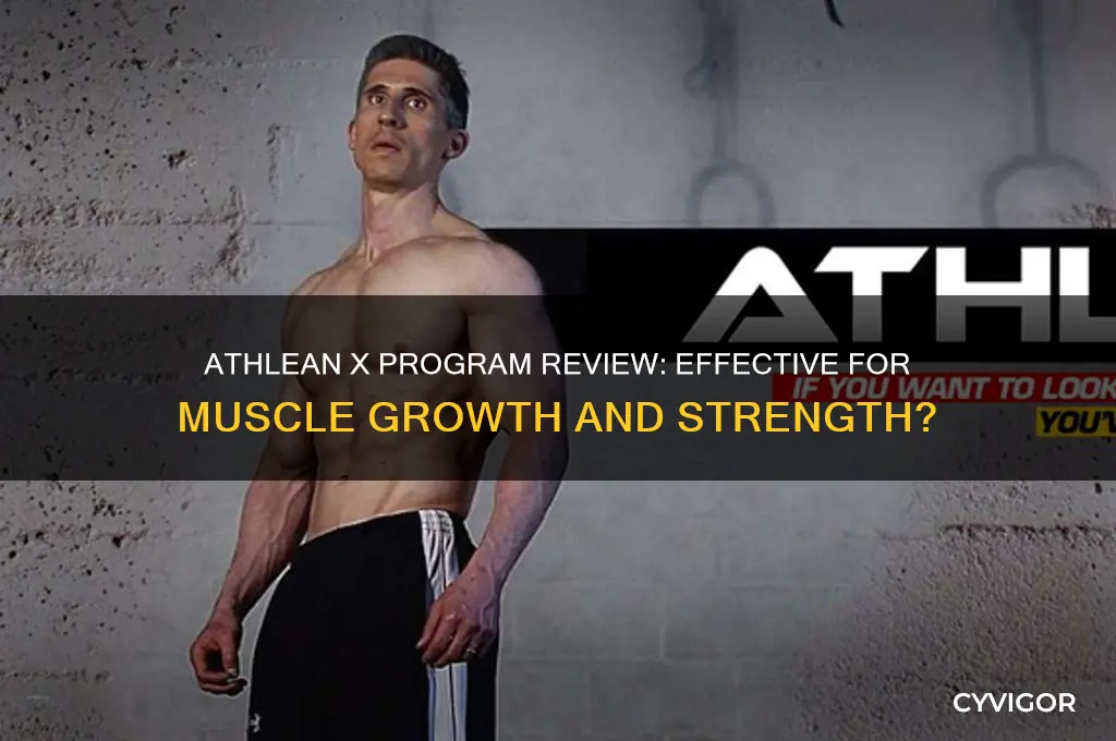 is athlean x program good for muscle