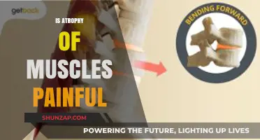Does Muscle Atrophy Cause Pain? Understanding Symptoms and Relief Options