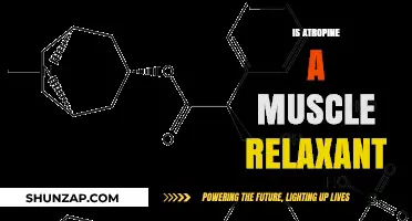 Is Atropine a Muscle Relaxant? Exploring Its Effects and Uses