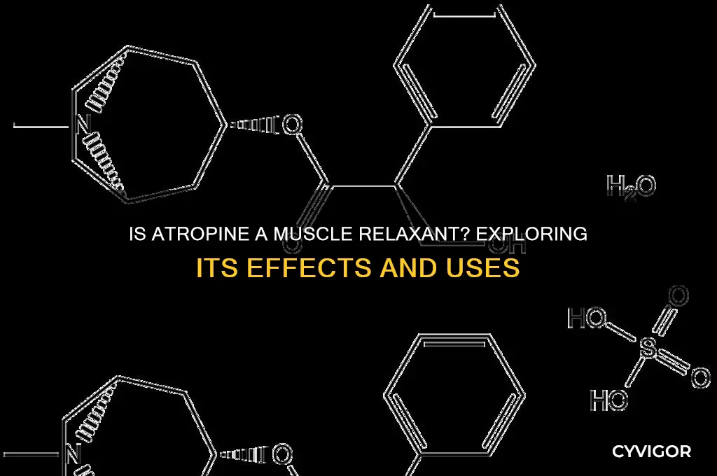 is atropine a muscle relaxant