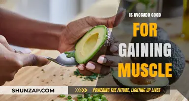 Avocado's Role in Muscle Gain: Nutrition Benefits and Fitness Impact