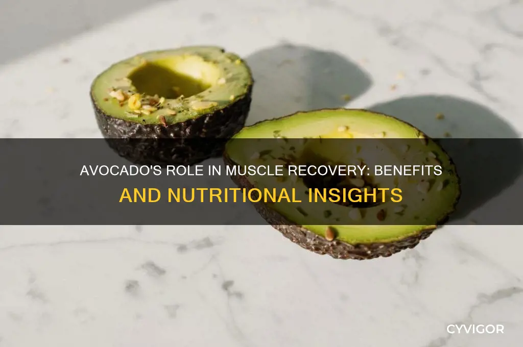 is avocado good for muscle recovery