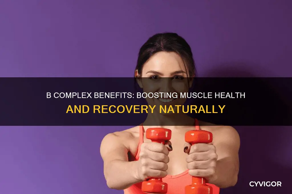 is b complex good for muscles