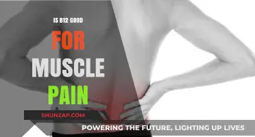 Vitamin B12 Benefits: Can It Relieve Muscle Pain and Soreness?
