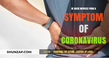 Back Muscle Pain and COVID-19: Unraveling the Connection