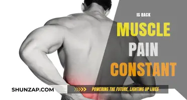 Is Back Muscle Pain Constant? Understanding Persistent Discomfort and Relief
