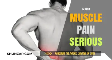 Is Back Muscle Pain Serious? Understanding Causes, Risks, and Treatments
