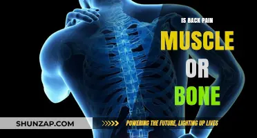 Back Pain: Understanding Muscle vs. Bone Causes and Solutions