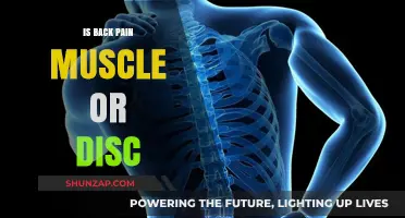 Back Pain: Muscle Strain or Disc Issue? Understanding the Cause