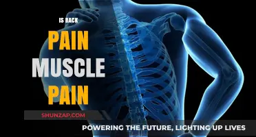 Is Back Pain Muscle Pain? Understanding the Root Causes and Relief