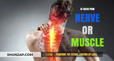 Back Pain: Unraveling the Mystery of Nerve vs. Muscle Causes