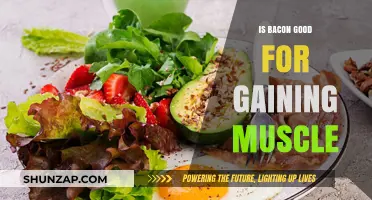 Bacon for Muscle Gain: Nutrition Benefits or Fitness Myth?