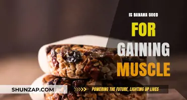 Can Bananas Boost Muscle Growth? Nutrition Facts and Benefits