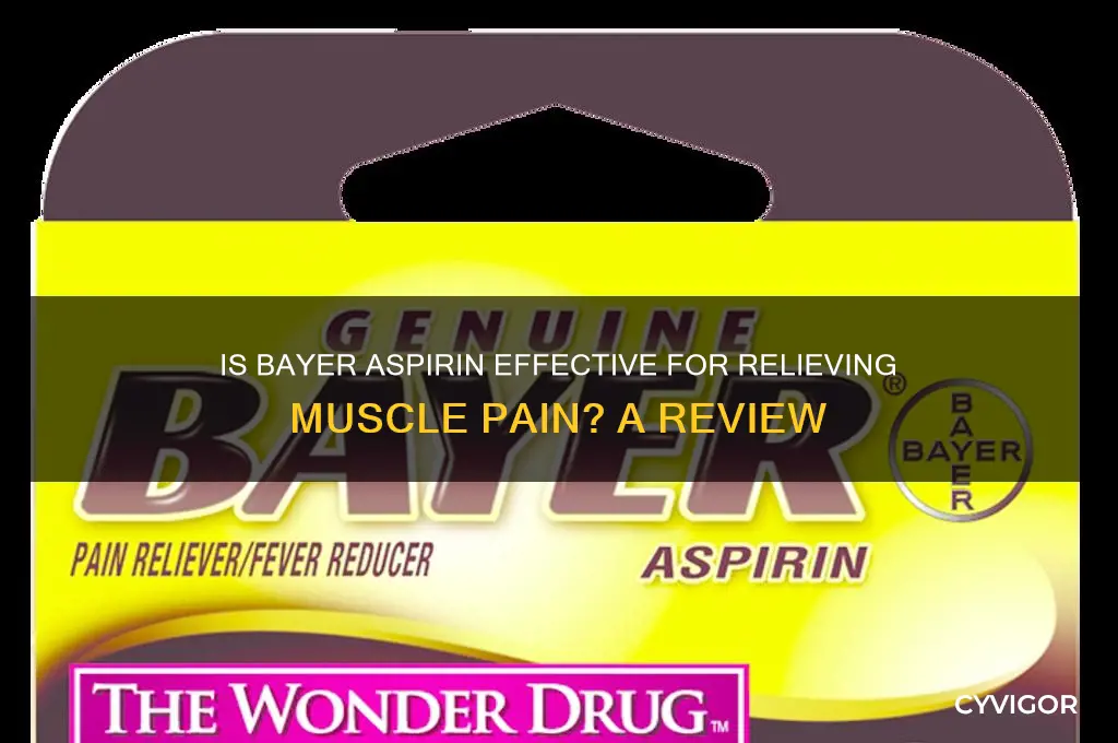 is bayer aspirin good for muscle pain