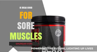 BCAA Benefits: Easing Sore Muscles Post-Workout - What You Need to Know