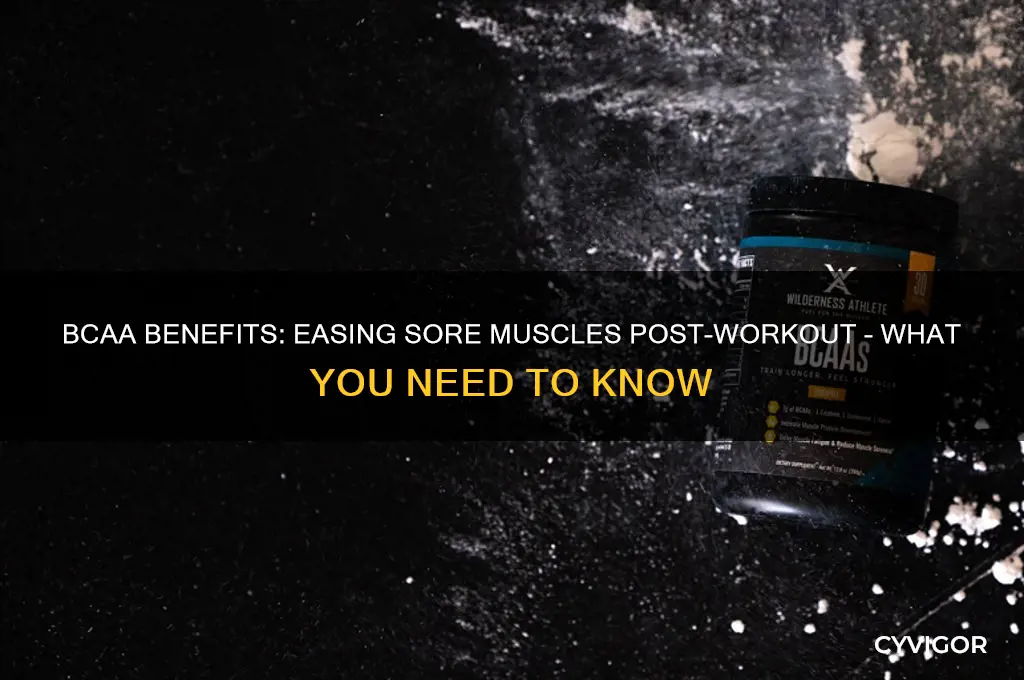 is bcaa good for sore muscles