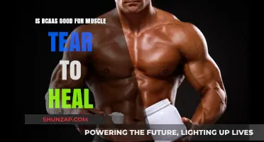 BCAA Benefits: Can They Speed Up Muscle Tear Recovery?
