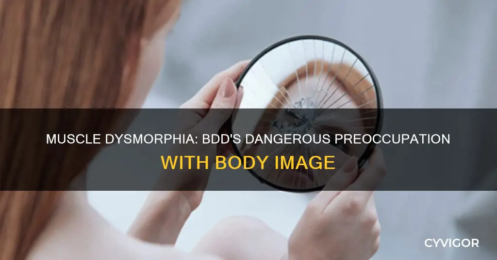 is bdd muscle dysmorphia