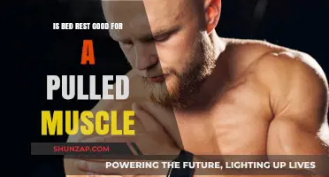 Pulled Muscle Recovery: Is Bed Rest the Best Approach?