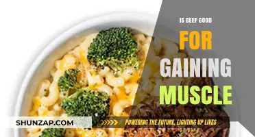 Is Beef the Ultimate Muscle-Building Food? Unlocking Its Benefits