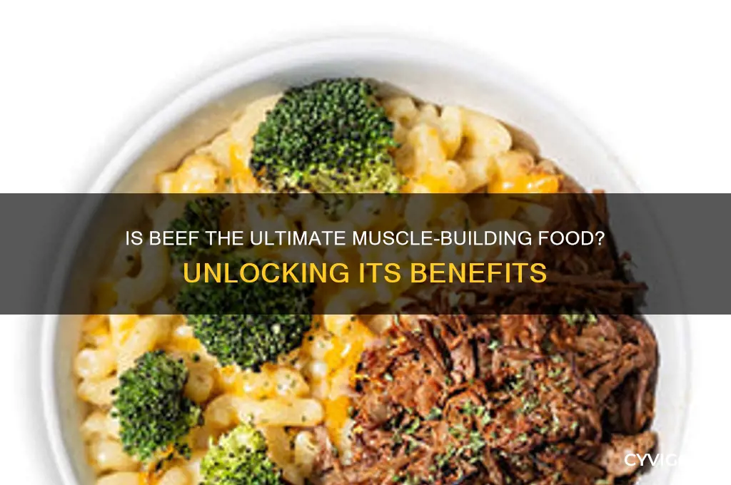 is beef good for gaining muscle