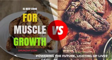 Beef Benefits: Does Red Meat Fuel Muscle Growth Effectively?