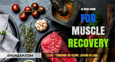 Beef's Role in Muscle Recovery: Benefits, Nutrition, and Timing Explained