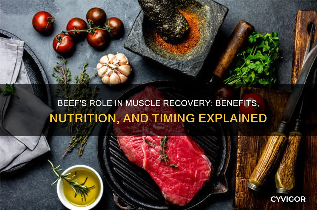 is beef good for muscle recovery