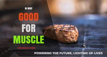 Is Beef Good for Muscle? Nutrition Facts and Fitness Benefits