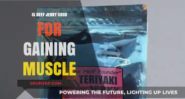 Beef Jerky for Muscle Gain: Benefits, Protein, and Fitness Tips